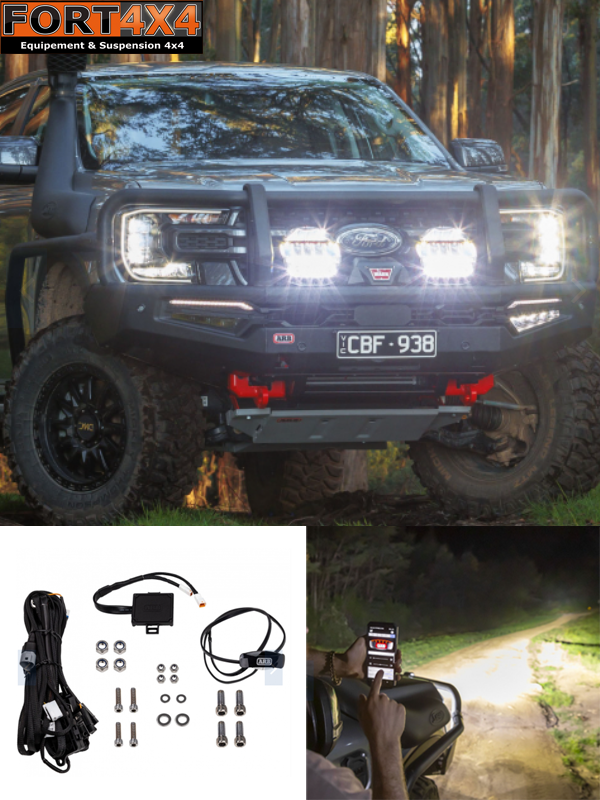 INTENSITY IQ ARB 28 PHARES LED (x2) E-Mark