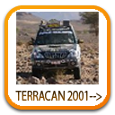 amortisseurs-ressorts-barres-de-torsion-hyundai-terracan