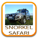 snorkel-safari